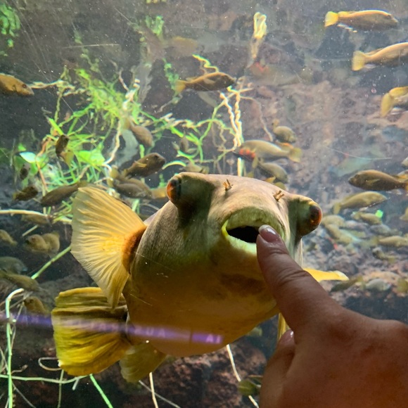 ⭐️ - Picture 3 of 15